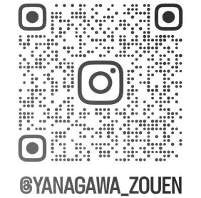 instagram qr